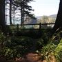 Arch Rock Picnic Area