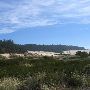 Dellenback Dunes Trailhead