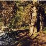 Girl Scout Camp - Mountaindale