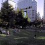 Terry Shrunk Plaza