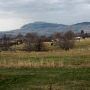 Gilstrap Brothers Vineyard