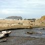 Bandon State Natural Area