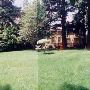 House #10002412