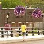 Silverton, City of
