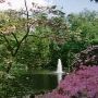 Crystal Springs Rhododendron Garden