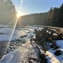 Homestead Cabin in Ochoco National Forest- 20+ acres of private land nestled in the national forest