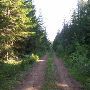 Lone Rock Timber - Roseburg