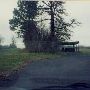 Skyline Road - Portland