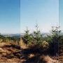 Smith Property