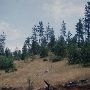 Beatty Creek BLM District