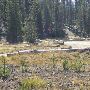 Sparks Lake