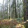 Oxbow Park