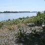 Sauvie Island - U-Pick farm