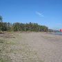 Sauvie Island - Collins Beach