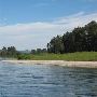 Willamette River - Five Island
