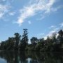 Willamette River