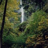 Starvation Creek Falls