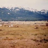 Alder Slope Cemetery