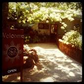 Sokol Blosser Winery