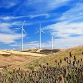 Condon Wind Farm