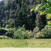 Upper Anderson Creek Valley