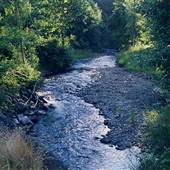 North Scappoose Creek