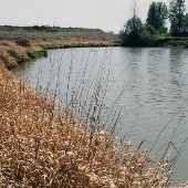 Sauvie Island - Oak Island Slough