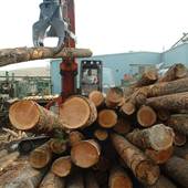 Blue Mountain Lumber