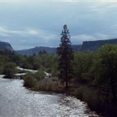 Tygh Creek