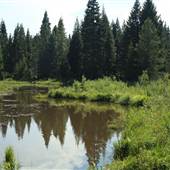 Pond - Dead Indian Memorial Rd.