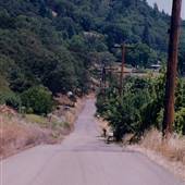 Weaver Road - Riddle