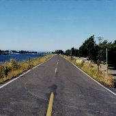 Sauvie Island - Dike Road