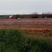 Adams Barn and Schoolhouse