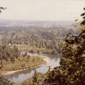 Coos Bay - North Bend Farms