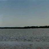 Sauvie Island - Crab Beach