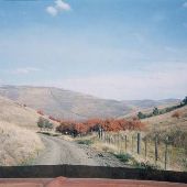 Curt Swenbursen's Property