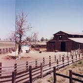 Pine Desert Ranch