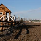 Olson Property