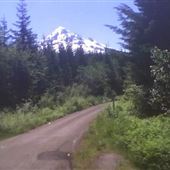 Lolo Pass Road - Mt Hood