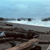 Bandon Coast