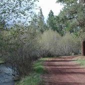 Alder Creek Ranch