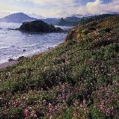 Humbug Mountain State Park