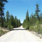 National Forests - Fremont, Winema, Modoc