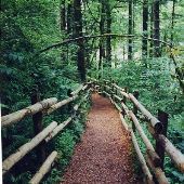 Camp Collins YMCA Camp