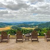 Youngberg Hill Winery