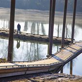 Willamette River - Rogers Landing