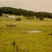 Goshen Pasture