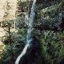 Silver Falls State Park