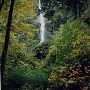 Starvation Creek Falls