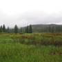 Summit Meadow